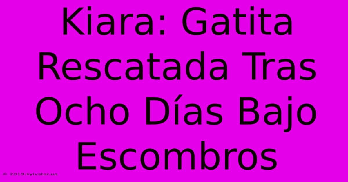 Kiara: Gatita Rescatada Tras Ocho Días Bajo Escombros