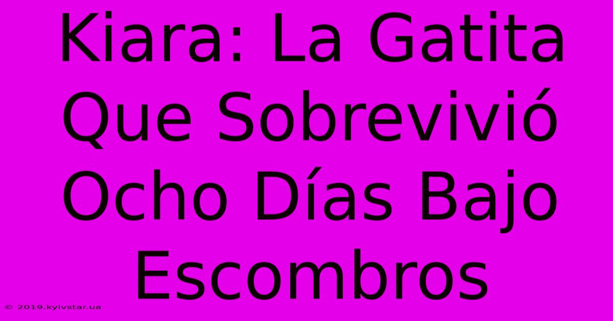 Kiara: La Gatita Que Sobrevivió Ocho Días Bajo Escombros