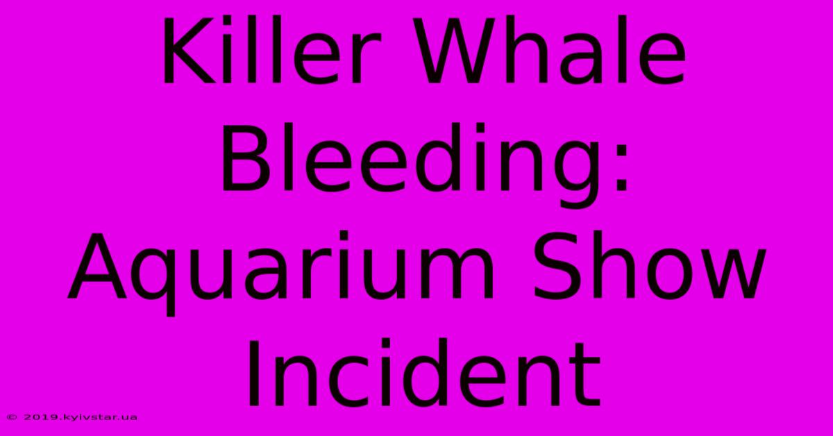 Killer Whale Bleeding: Aquarium Show Incident 