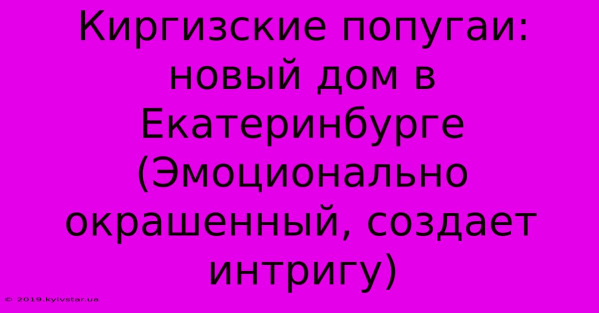 Киргизские Попугаи: Новый Дом В Екатеринбурге (Эмоционально Окрашенный, Создает Интригу)