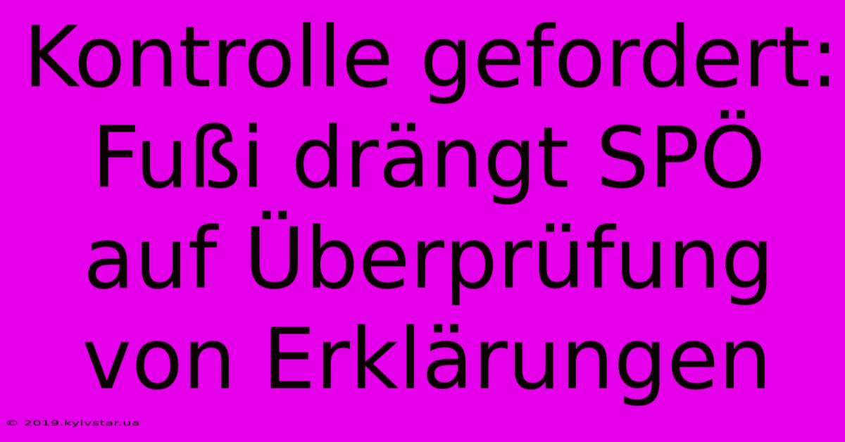 Kontrolle Gefordert: Fußi Drängt SPÖ Auf Überprüfung Von Erklärungen