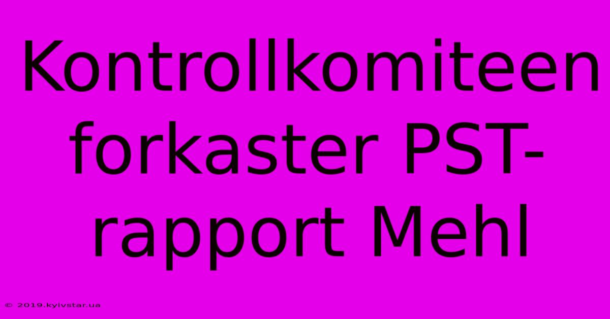 Kontrollkomiteen Forkaster PST-rapport Mehl