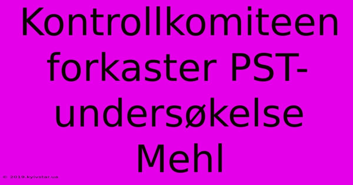 Kontrollkomiteen Forkaster PST-undersøkelse Mehl