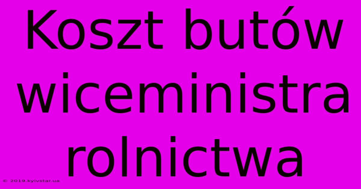 Koszt Butów Wiceministra Rolnictwa