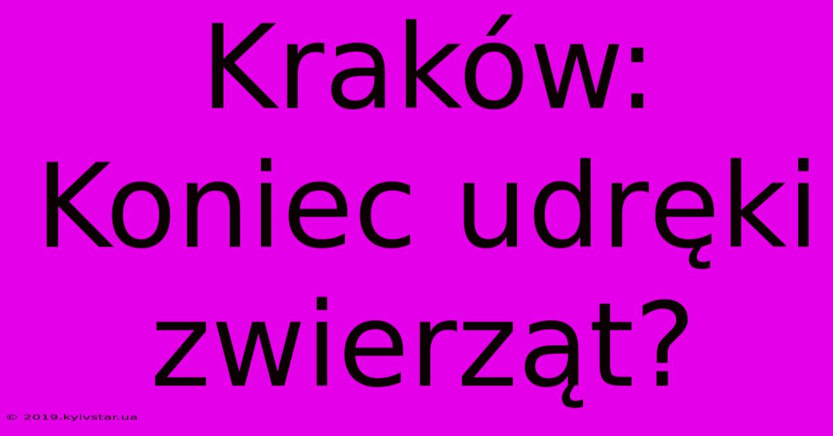 Kraków: Koniec Udręki Zwierząt?