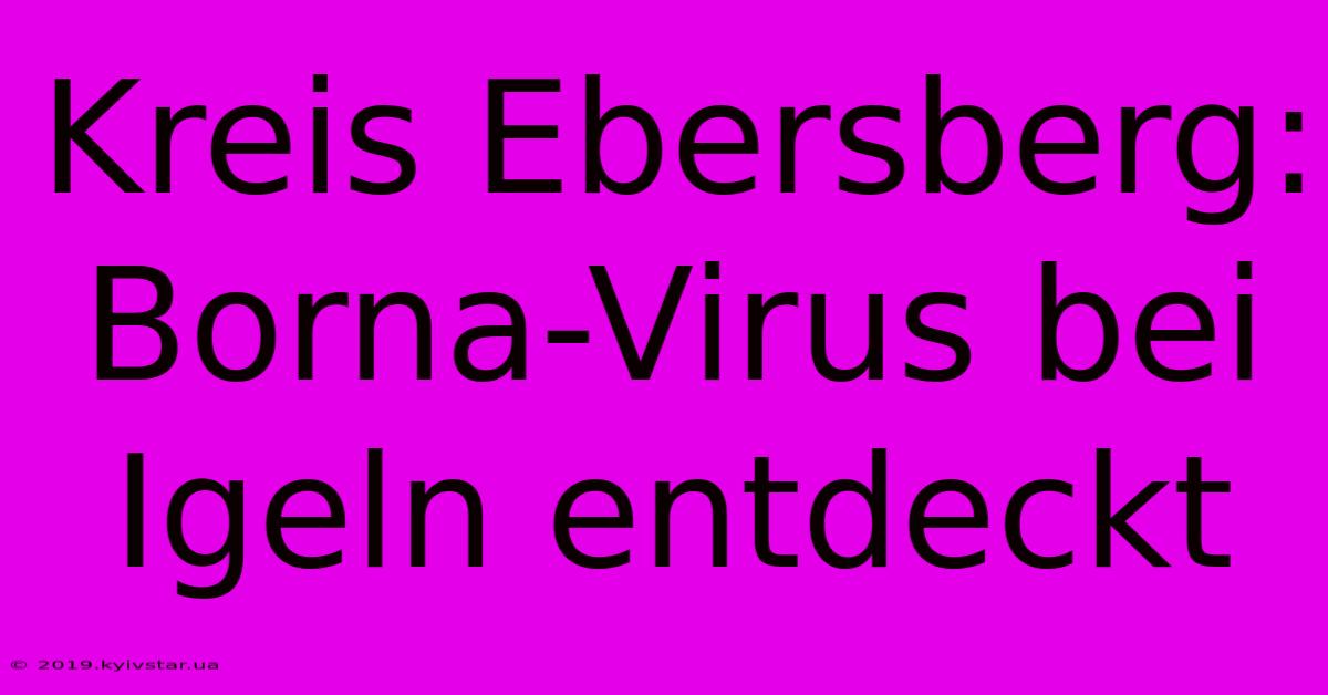 Kreis Ebersberg: Borna-Virus Bei Igeln Entdeckt 