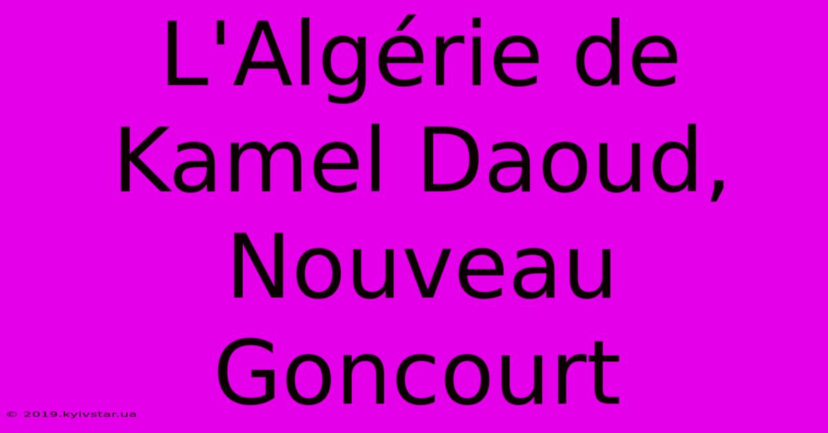 L'Algérie De Kamel Daoud, Nouveau Goncourt 