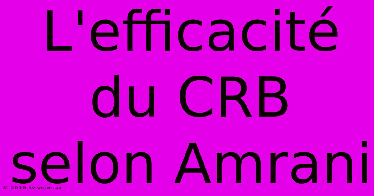 L'efficacité Du CRB Selon Amrani