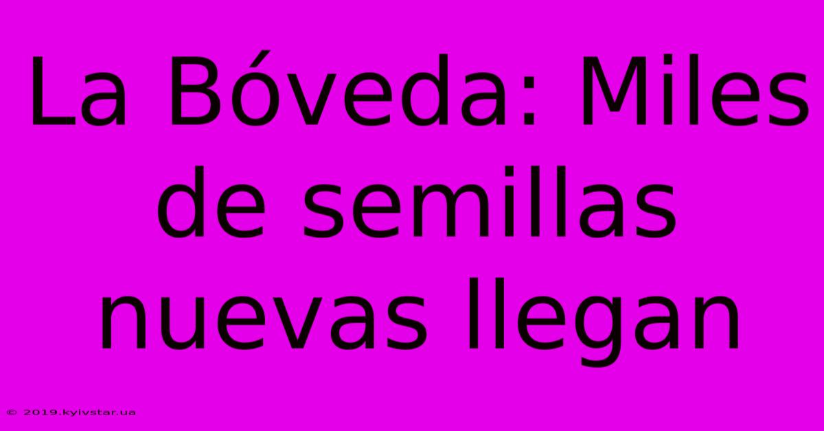 La Bóveda: Miles De Semillas Nuevas Llegan