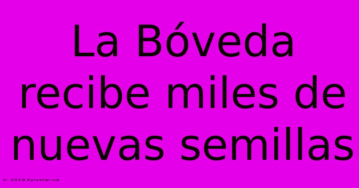 La Bóveda Recibe Miles De Nuevas Semillas 