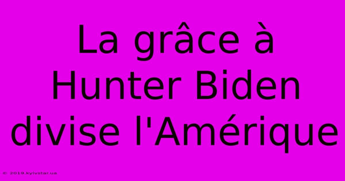 La Grâce À Hunter Biden Divise L'Amérique