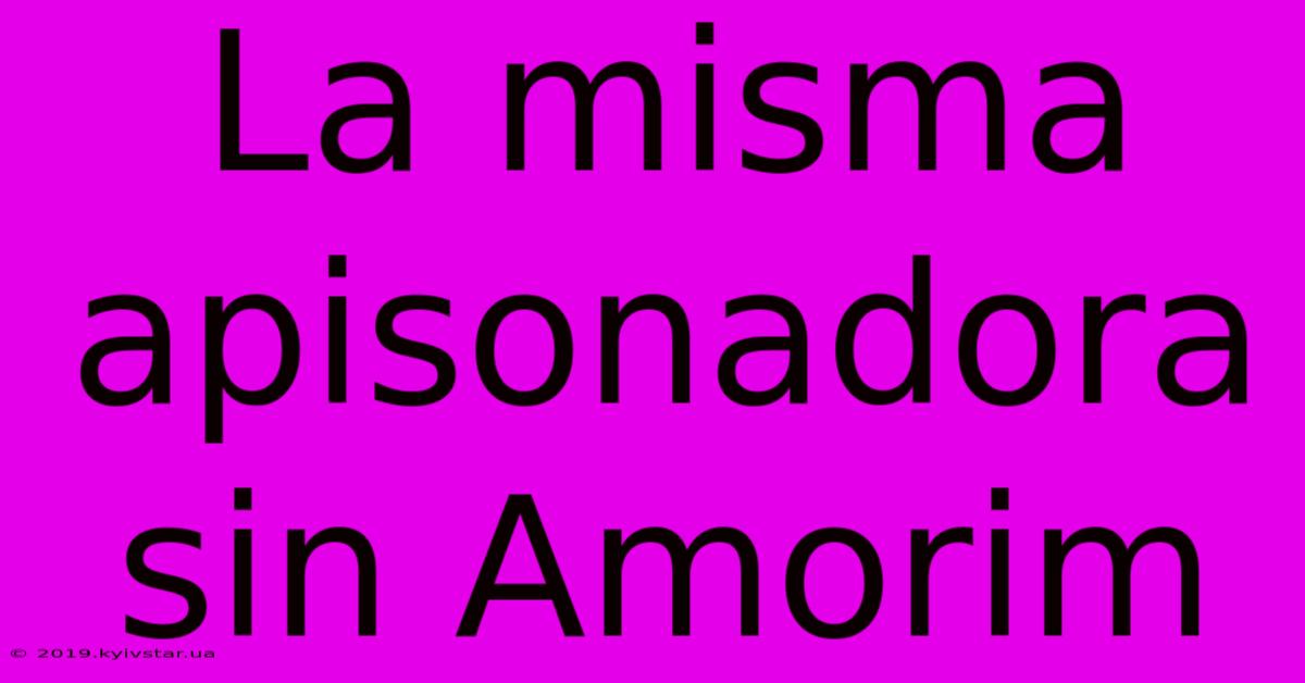 La Misma Apisonadora Sin Amorim