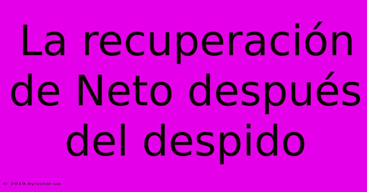 La Recuperación De Neto Después Del Despido