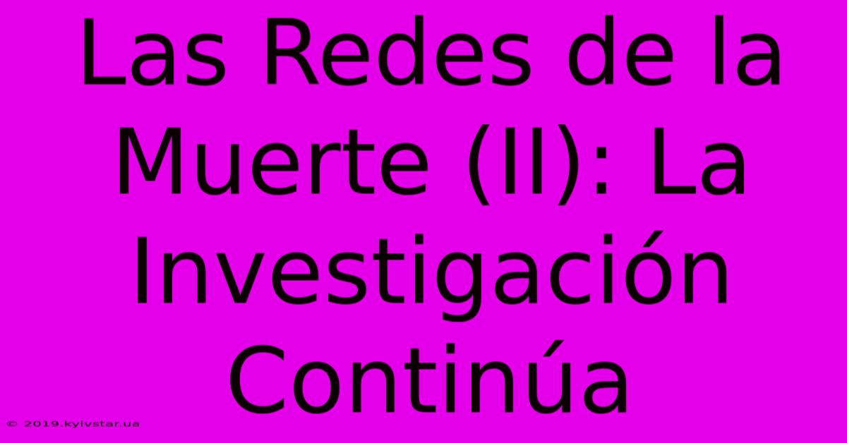 Las Redes De La Muerte (II): La Investigación Continúa