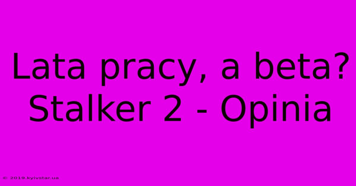 Lata Pracy, A Beta? Stalker 2 - Opinia