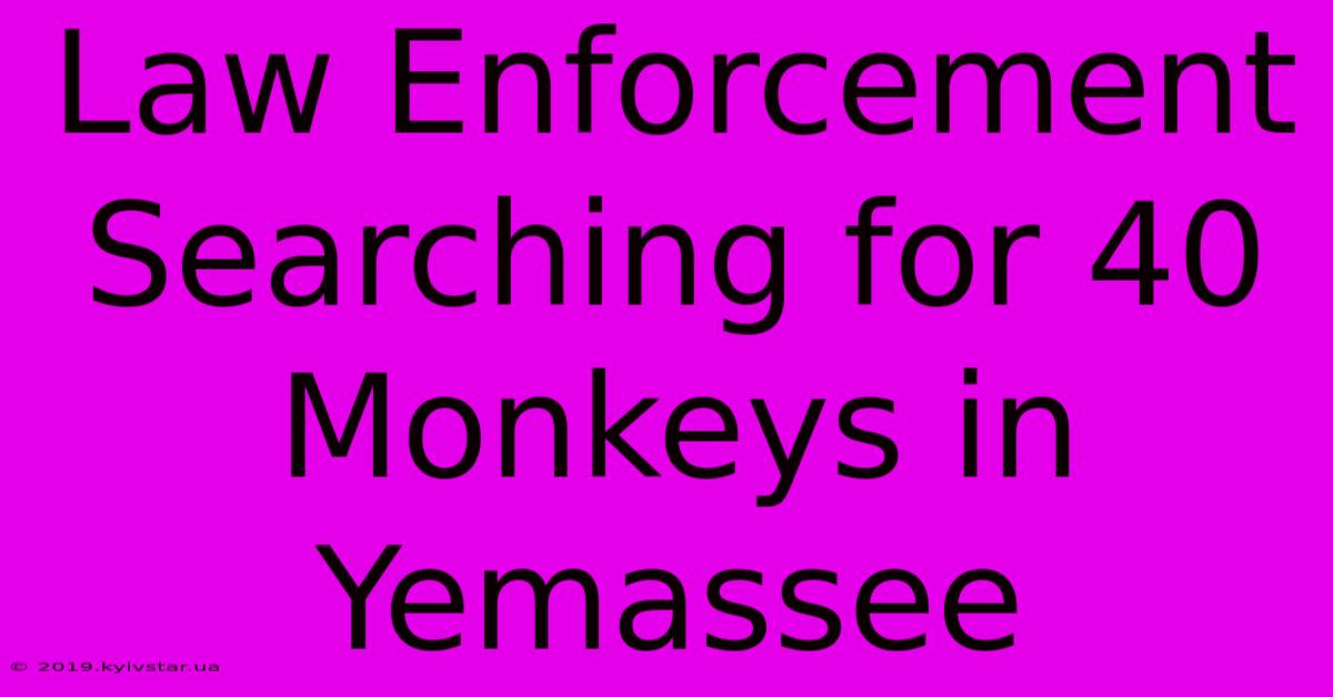 Law Enforcement Searching For 40 Monkeys In Yemassee