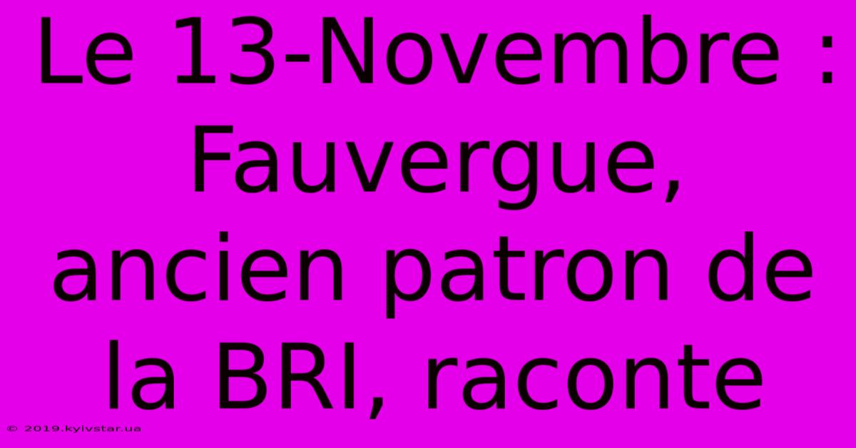 Le 13-Novembre : Fauvergue, Ancien Patron De La BRI, Raconte 