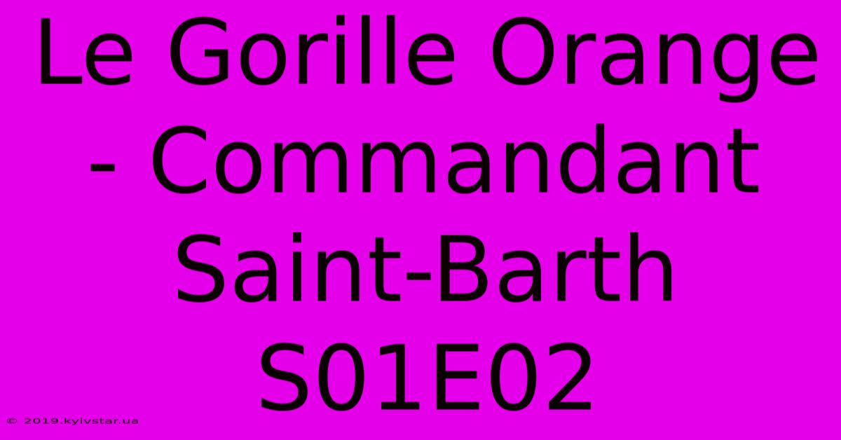 Le Gorille Orange - Commandant Saint-Barth S01E02