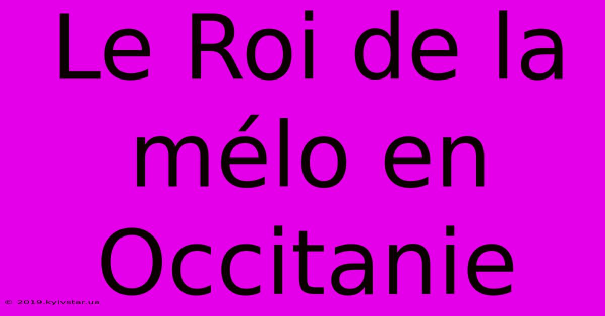 Le Roi De La Mélo En Occitanie