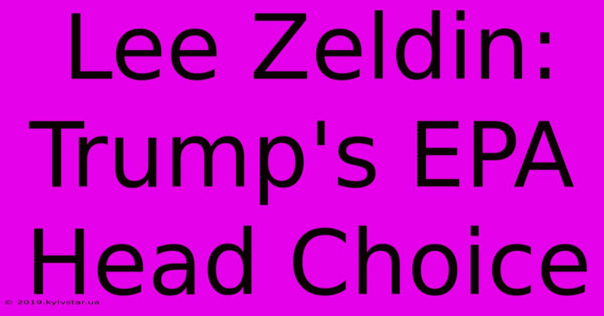 Lee Zeldin: Trump's EPA Head Choice