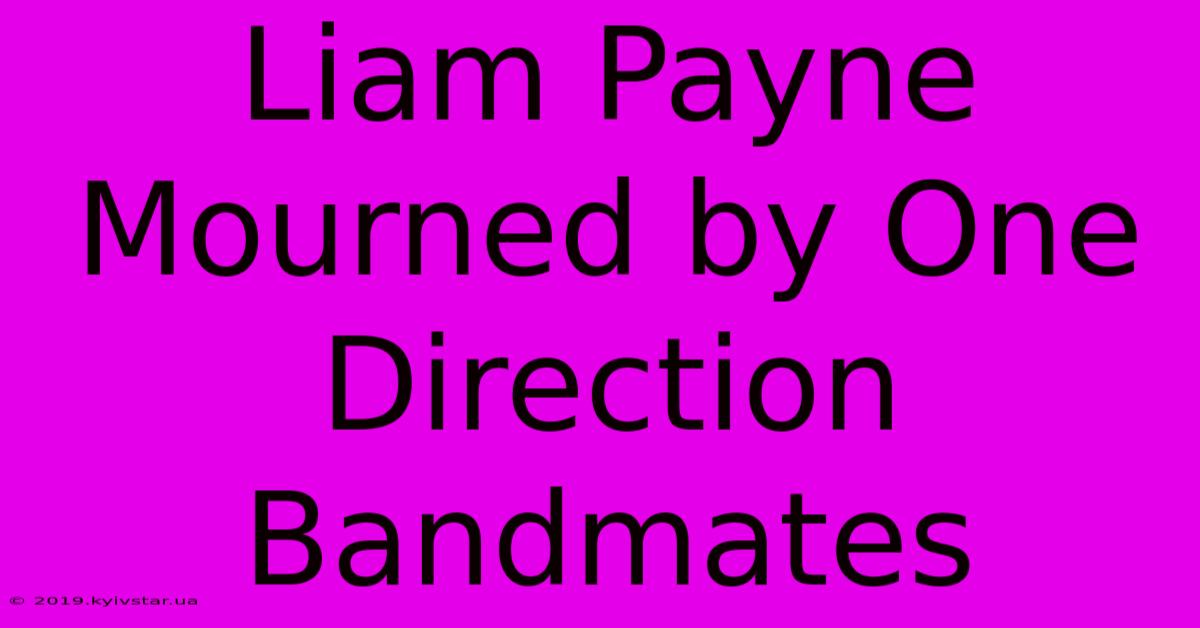 Liam Payne Mourned By One Direction Bandmates