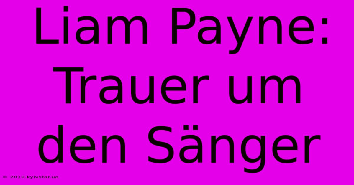 Liam Payne: Trauer Um Den Sänger