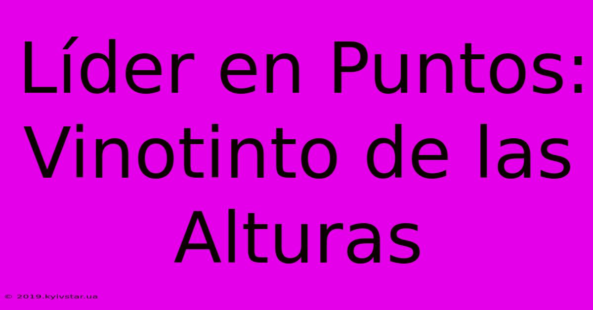 Líder En Puntos: Vinotinto De Las Alturas