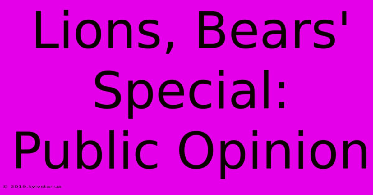 Lions, Bears' Special: Public Opinion