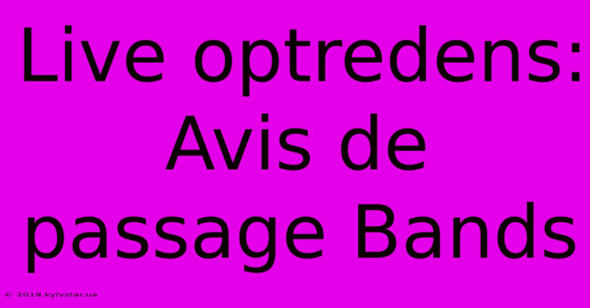 Live Optredens:  Avis De Passage Bands