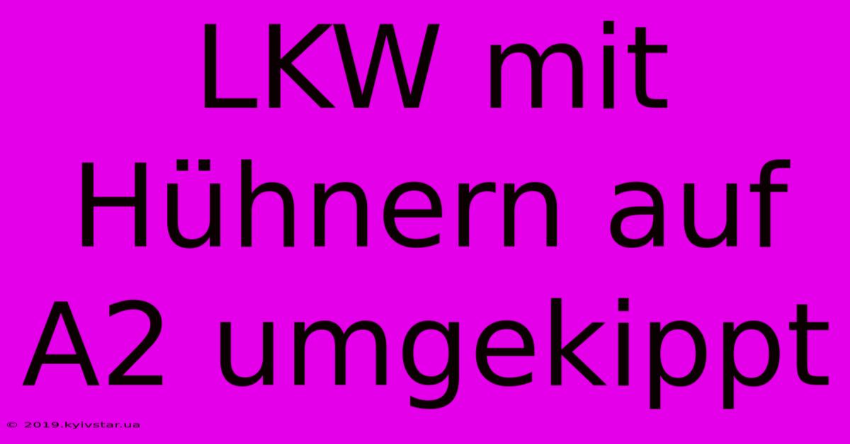 LKW Mit Hühnern Auf A2 Umgekippt