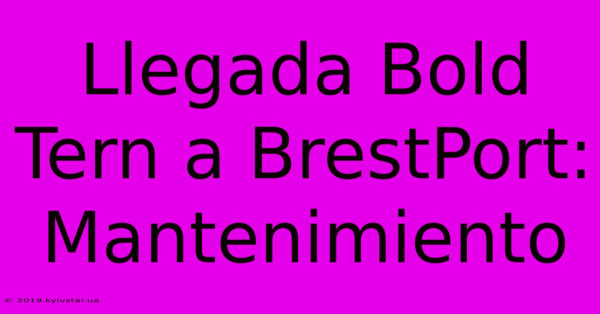 Llegada Bold Tern A BrestPort: Mantenimiento