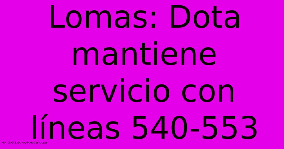 Lomas: Dota Mantiene Servicio Con Líneas 540-553