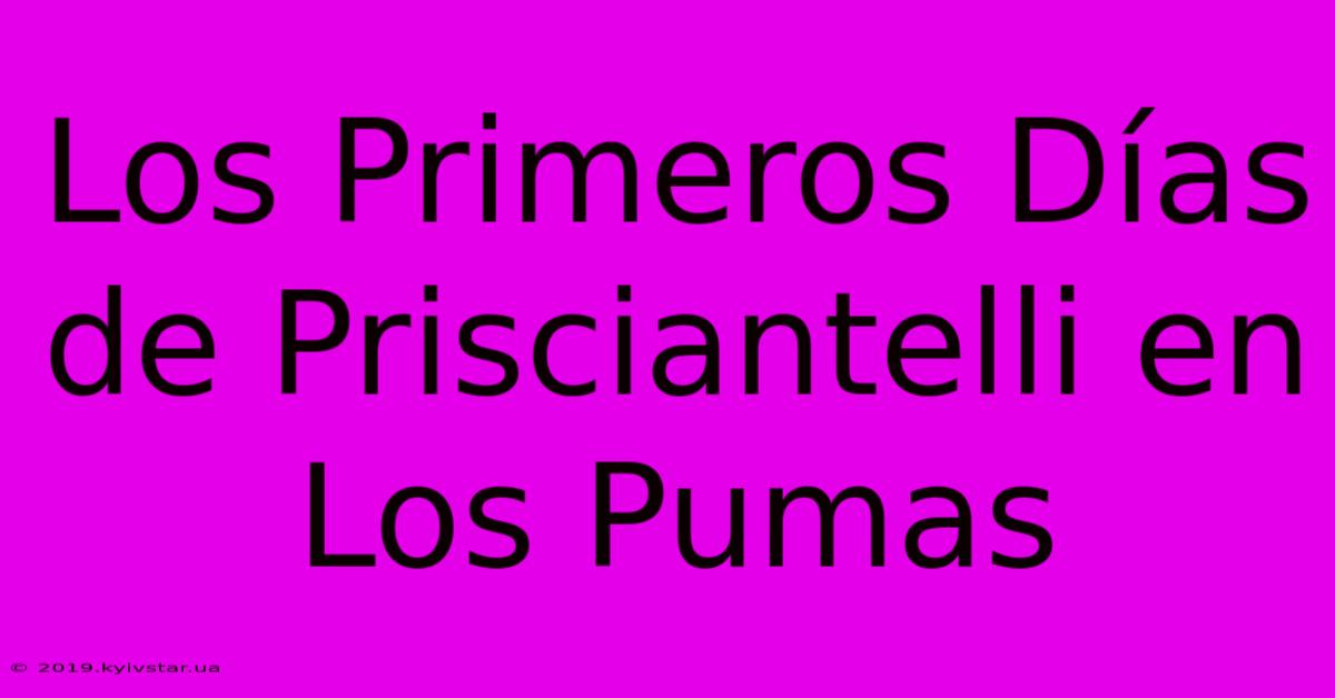 Los Primeros Días De Prisciantelli En Los Pumas