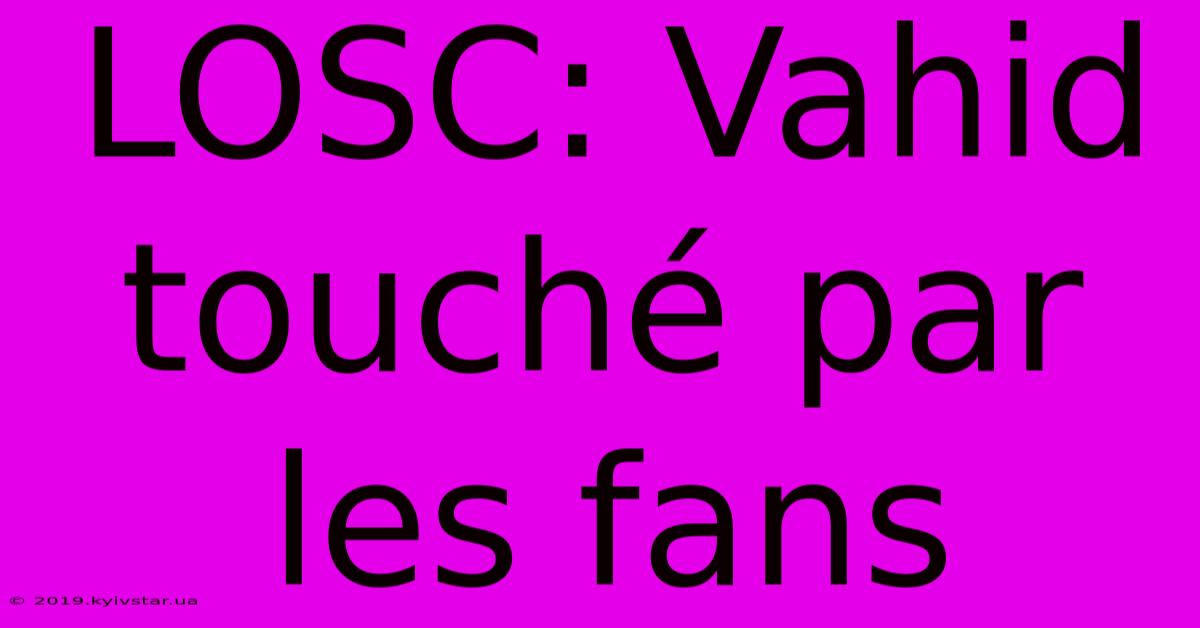 LOSC: Vahid Touché Par Les Fans