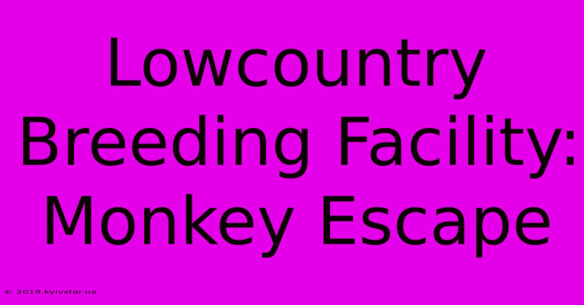 Lowcountry Breeding Facility: Monkey Escape