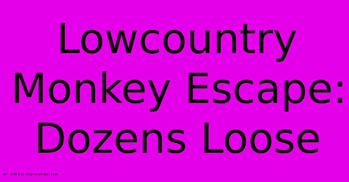 Lowcountry Monkey Escape: Dozens Loose