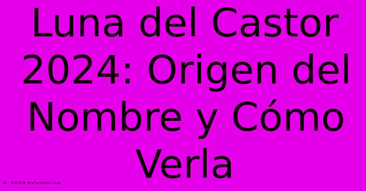 Luna Del Castor 2024: Origen Del Nombre Y Cómo Verla 