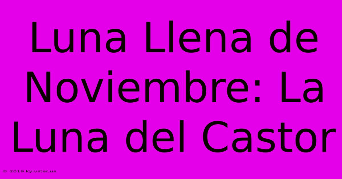 Luna Llena De Noviembre: La Luna Del Castor