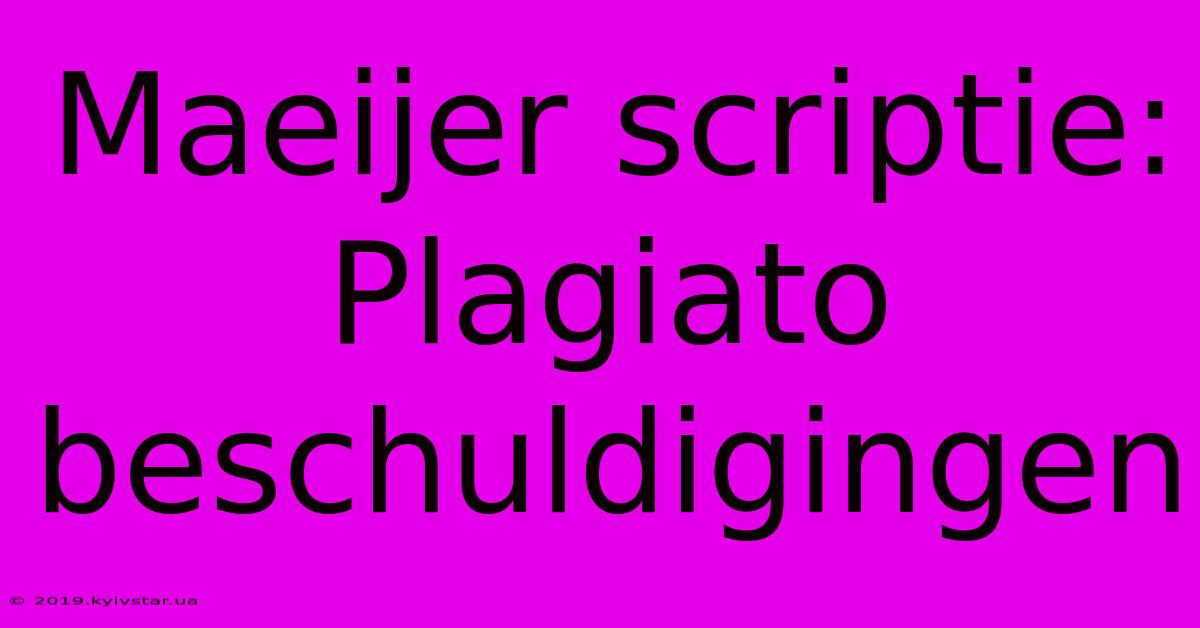 Maeijer Scriptie: Plagiato Beschuldigingen