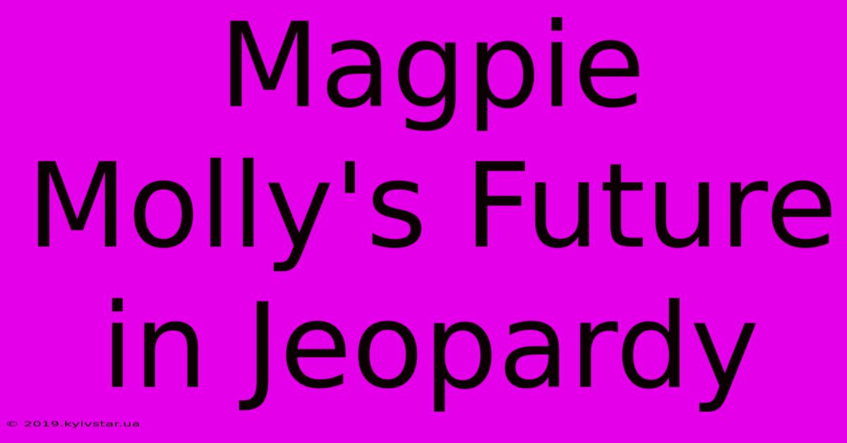 Magpie Molly's Future In Jeopardy