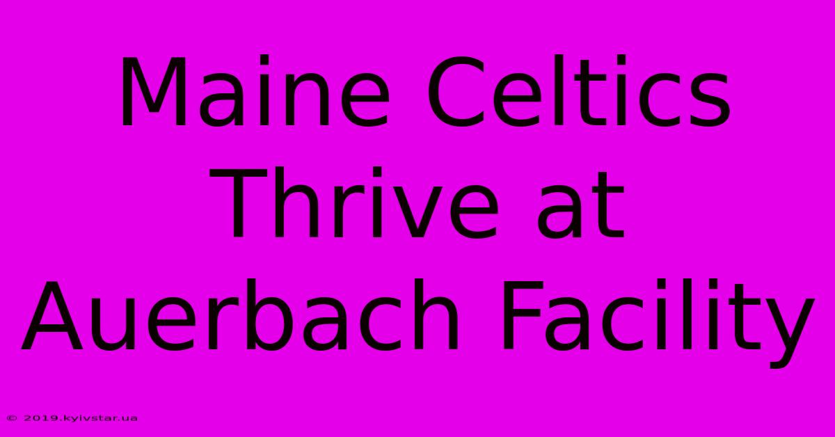 Maine Celtics Thrive At Auerbach Facility