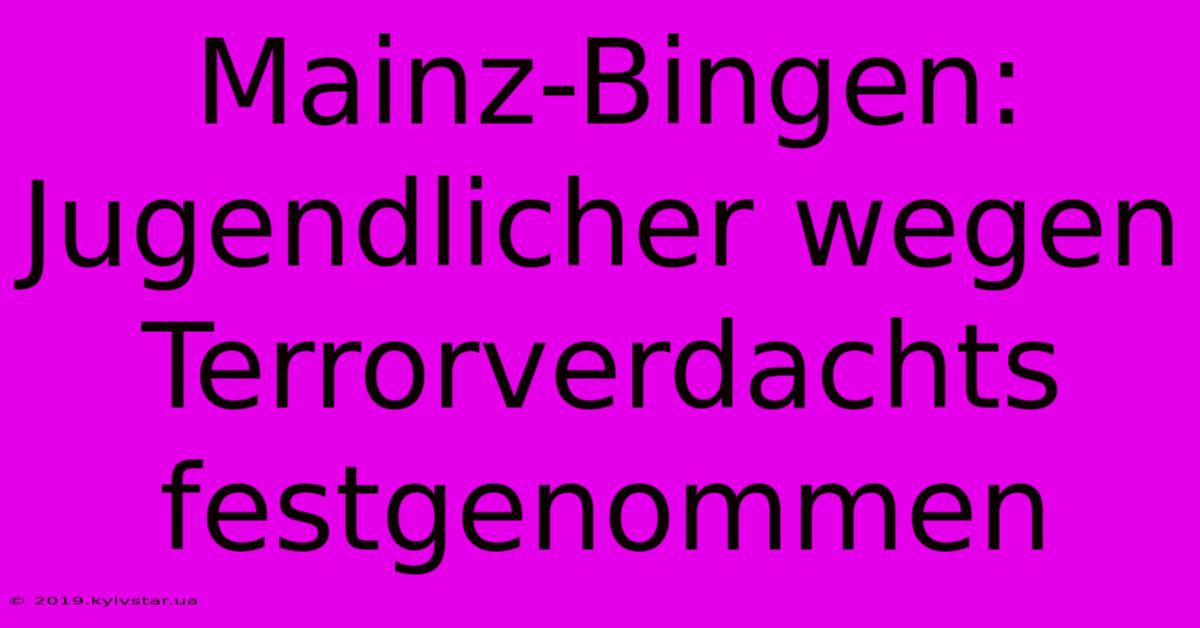 Mainz-Bingen: Jugendlicher Wegen Terrorverdachts Festgenommen