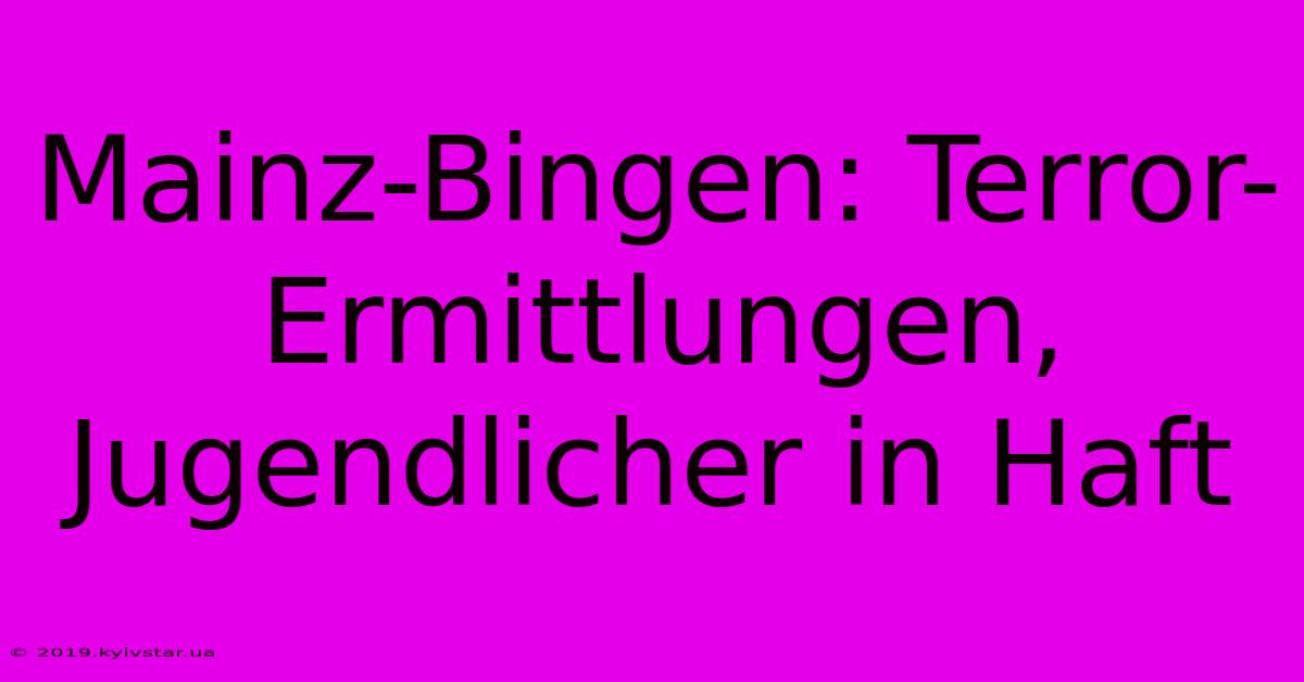 Mainz-Bingen: Terror-Ermittlungen, Jugendlicher In Haft