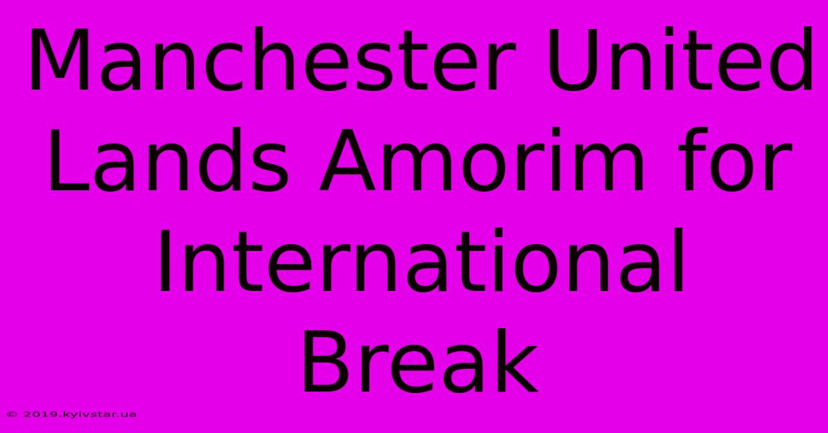 Manchester United Lands Amorim For International Break 