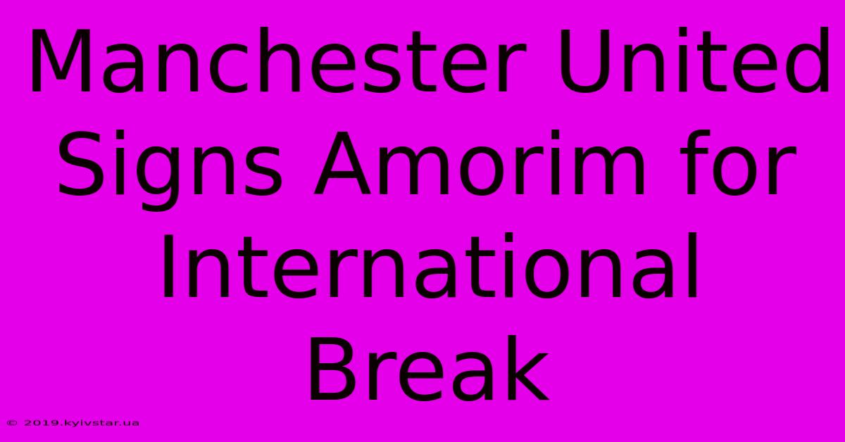 Manchester United Signs Amorim For International Break