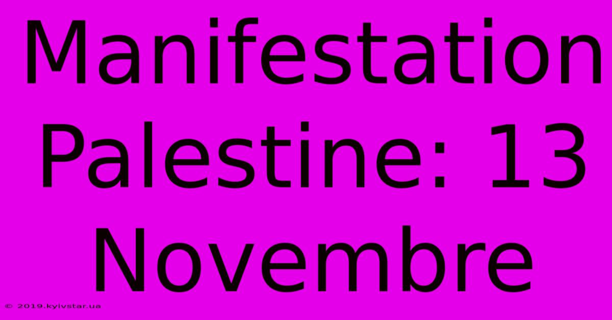 Manifestation Palestine: 13 Novembre