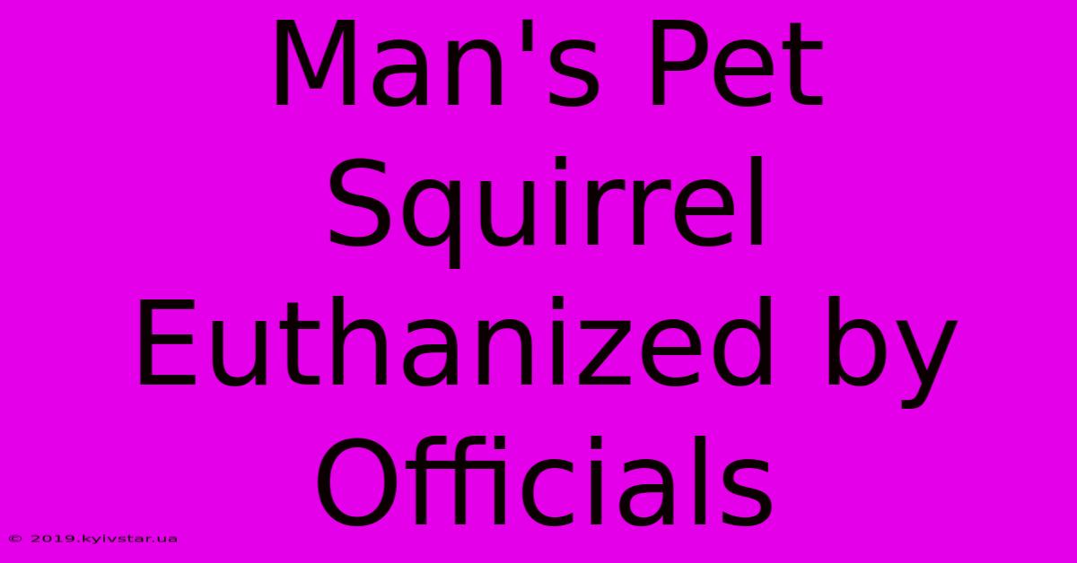 Man's Pet Squirrel Euthanized By Officials