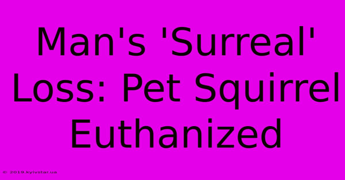 Man's 'Surreal' Loss: Pet Squirrel Euthanized