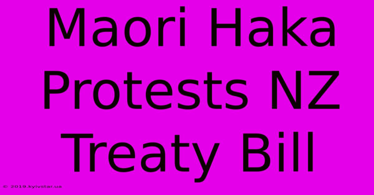 Maori Haka Protests NZ Treaty Bill