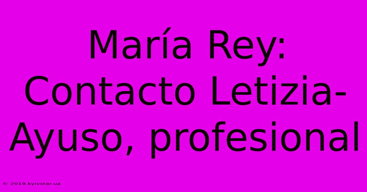 María Rey: Contacto Letizia-Ayuso, Profesional